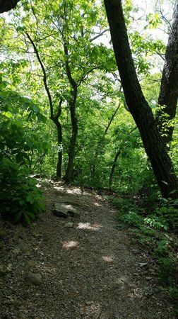 Burr Oak Woods Conservation Area